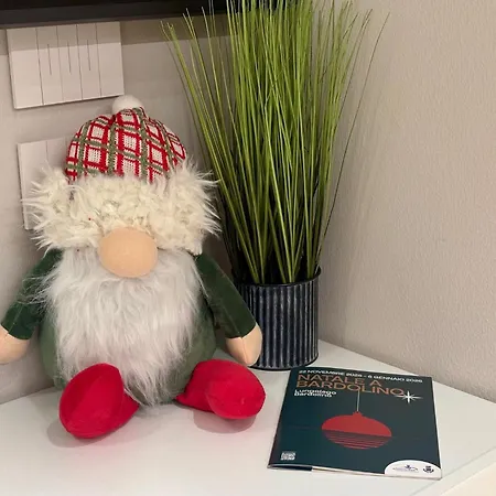 公寓 Residenza Betteloni *