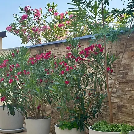Residenza Betteloni Appartamento Bardolino
