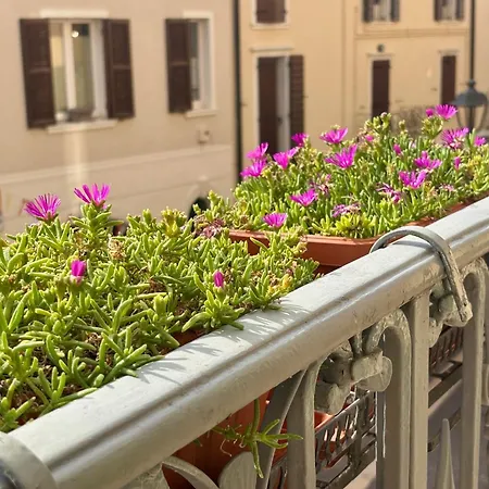 Residenza Betteloni 公寓 巴多利诺
